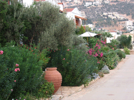 Kalkan street